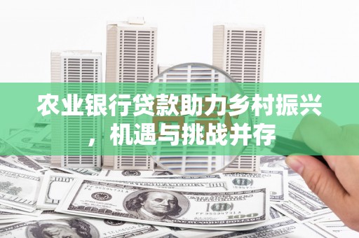 壮围农业银行贷款助力乡村振兴，机遇与挑战并存