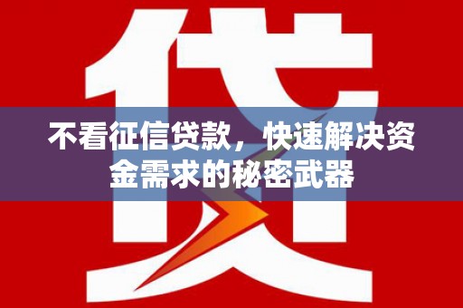 壮围不看征信贷款，快速解决资金需求的秘密武器