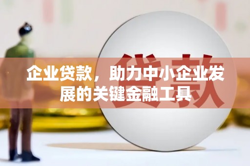 壮围企业贷款，助力中小企业发展的关键金融工具