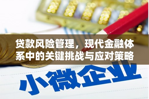 壮围贷款风险管理，现代金融体系中的关键挑战与应对策略