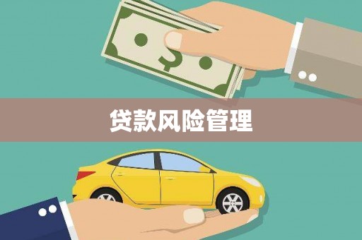 壮围贷款风险管理