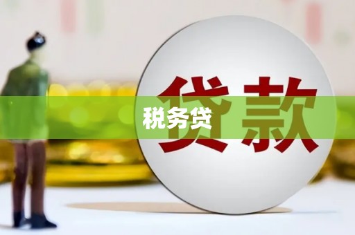 壮围税务贷