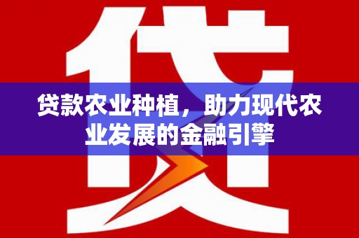 壮围贷款农业种植，助力现代农业发展的金融引擎