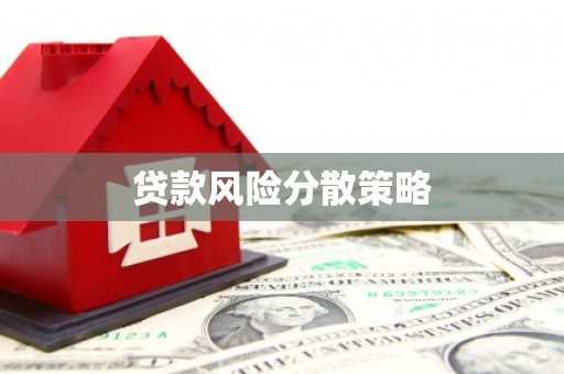 壮围贷款风险分散策略