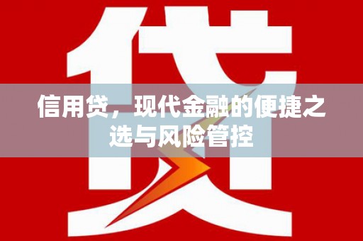 壮围信用贷，现代金融的便捷之选与风险管控