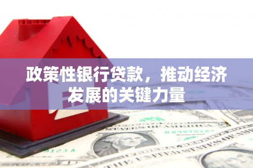 壮围政策性银行贷款，推动经济发展的关键力量