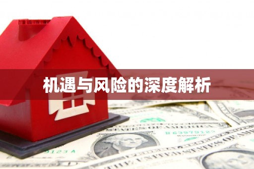 壮围机遇与风险的深度解析