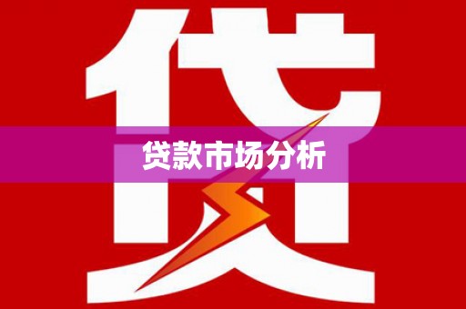 壮围贷款市场分析