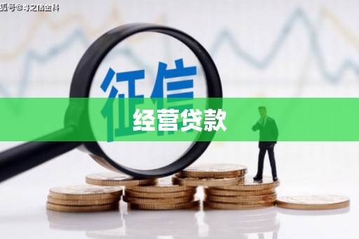壮围经营贷款