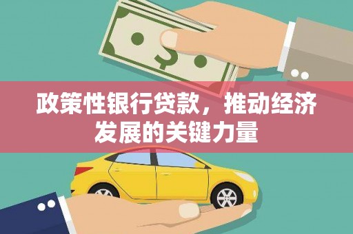壮围政策性银行贷款，推动经济发展的关键力量
