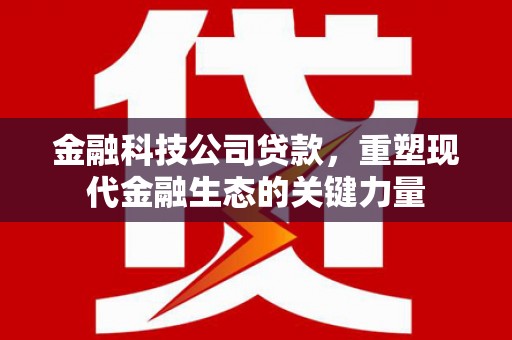 壮围金融科技公司贷款，重塑现代金融生态的关键力量