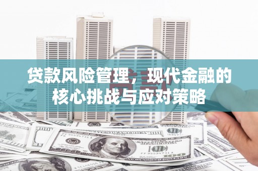 壮围贷款风险管理，现代金融的核心挑战与应对策略