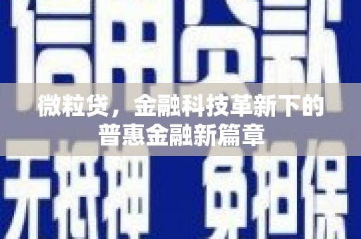 壮围微粒贷，金融科技革新下的普惠金融新篇章