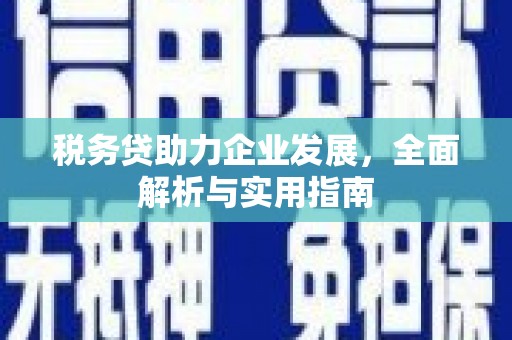 壮围税务贷助力企业发展，全面解析与实用指南