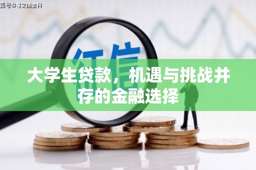 壮围大学生贷款，机遇与挑战并存的金融选择