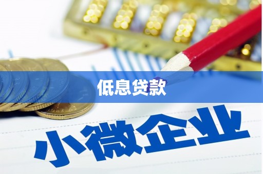壮围低息贷款