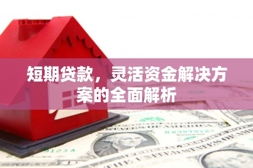 壮围短期贷款，灵活资金解决方案的全面解析
