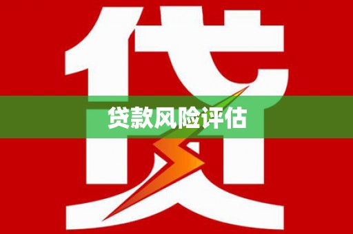 壮围贷款风险评估