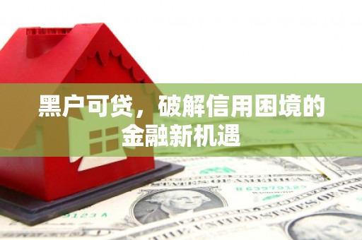壮围黑户可贷，破解信用困境的金融新机遇