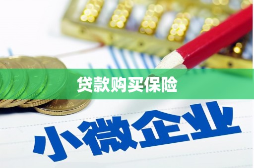 壮围贷款购买保险