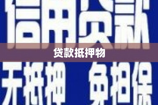 壮围贷款抵押物