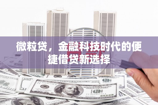 壮围微粒贷，金融科技时代的便捷借贷新选择
