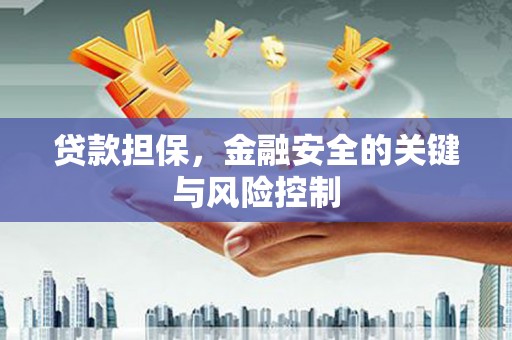 壮围贷款担保，金融安全的关键与风险控制