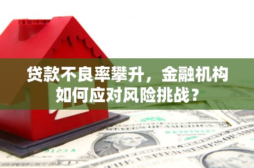 壮围贷款不良率攀升，金融机构如何应对风险挑战？