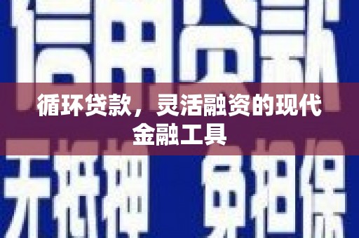 壮围循环贷款，灵活融资的现代金融工具