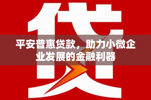 壮围平安普惠贷款，助力小微企业发展的金融利器
