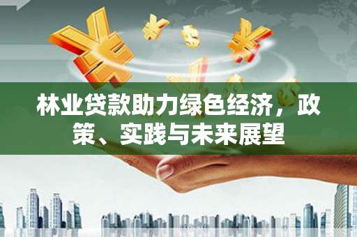 壮围林业贷款助力绿色经济，政策、实践与未来展望