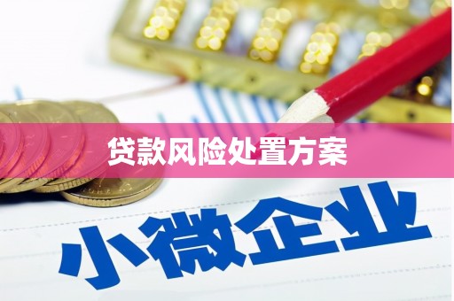 壮围贷款风险处置方案