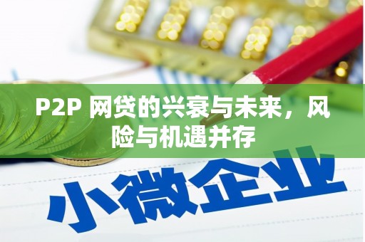 壮围P2P 网贷的兴衰与未来，风险与机遇并存