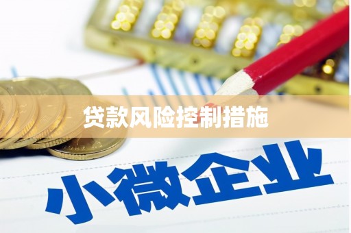 壮围贷款风险控制措施