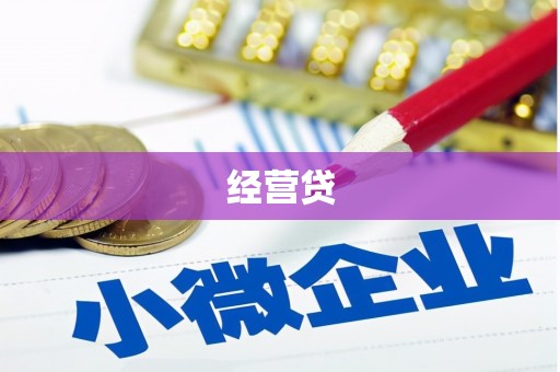 壮围经营贷