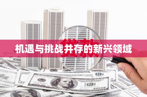 壮围机遇与挑战并存的新兴领域