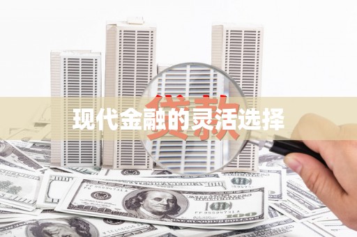 壮围现代金融的灵活选择