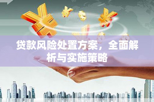 壮围贷款风险处置方案，全面解析与实施策略