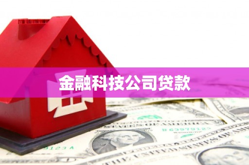 壮围金融科技公司贷款