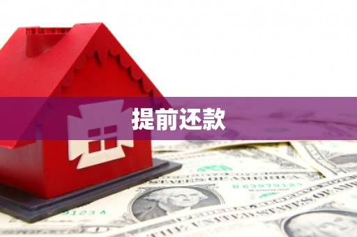 壮围提前还款