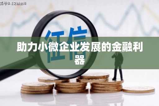 壮围助力小微企业发展的金融利器