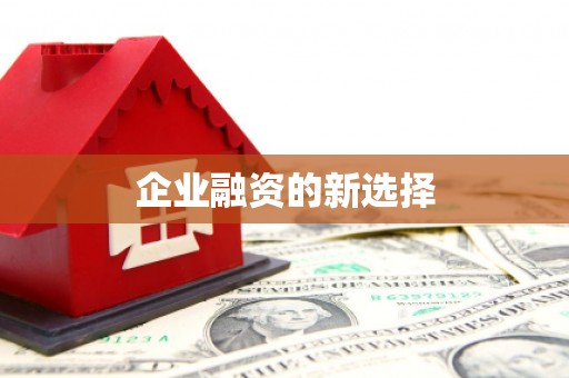 壮围企业融资的新选择