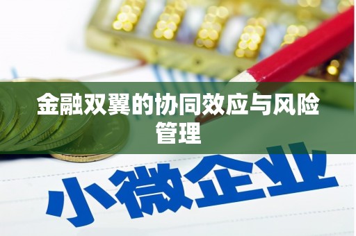 壮围金融双翼的协同效应与风险管理