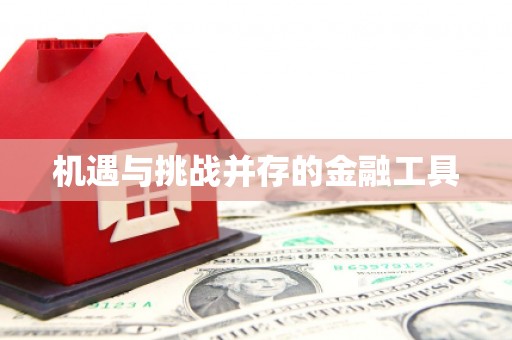壮围机遇与挑战并存的金融工具