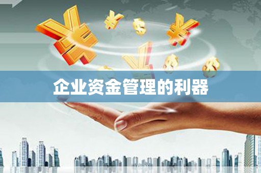 壮围企业资金管理的利器