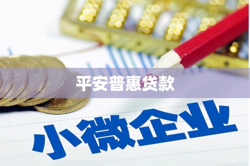 壮围平安普惠贷款
