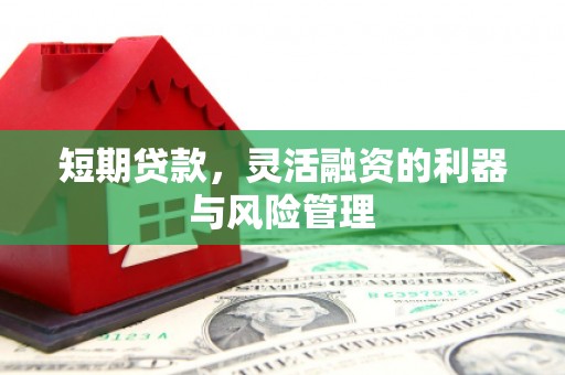 壮围短期贷款，灵活融资的利器与风险管理