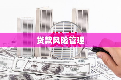 壮围贷款风险管理